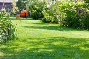 travaux jardin et paysage Baccon